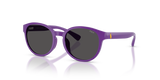 Shiny Purple / Dark Grey (632787)