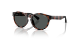 Shiny Havana / Dark Grey (597487)