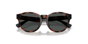 Shiny Havana / Dark Grey (597487)