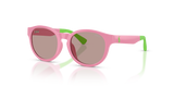 Shiny Pink / Light Purple Brown (63647N)