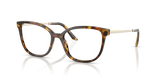 Honey Tortoise / Demo Lens (VAU1O1)