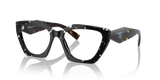Black Crystal Tortoise / Demo Lens (15S1O1)