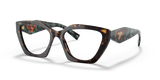 Tortoise / Demo Lens (2AU1O1)
