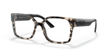 Talc Tortoise / Demo Lens (UAO1O1)