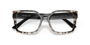 Talc Tortoise / Demo Lens (UAO1O1)