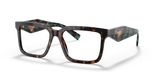 Tortoise / Demo Lens (2AU1O1)