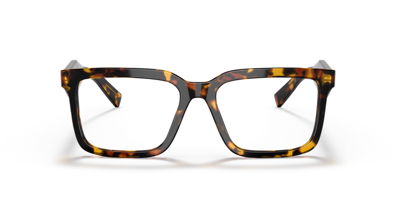 Prada PR 10YV in Honey Tortoise / Demo Lens (VAU1O1) - Alternate View