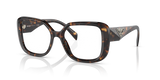 Tortoise / Demo Lens (2AU1O1)