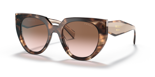 Caramel Tortoise/Powder / Brown Gradient (01R0A6)