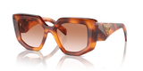 Cognac Tortoise / Brown Gradient (18R70E)