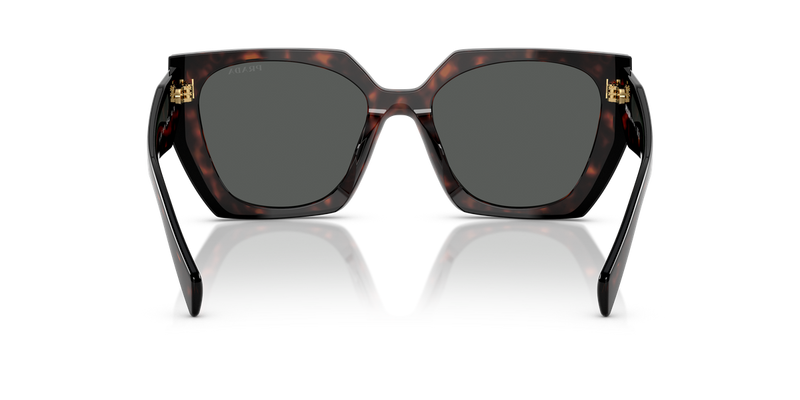 Prada PR 15WSF in Root/Black / Dark Grey (24B40L) - Alternate View