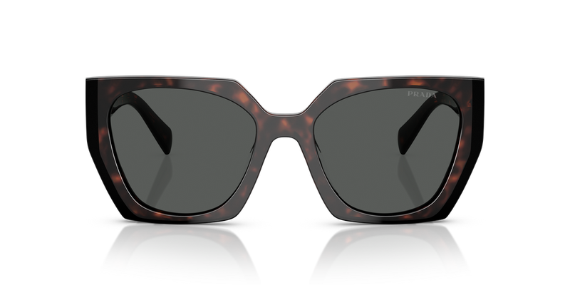 Prada PR 15WSF in Root/Black / Dark Grey (24B40L) - Alternate View