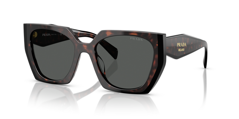 Prada PR 15WS in Root/Black / Dark Grey (24B40L) - Alternate View