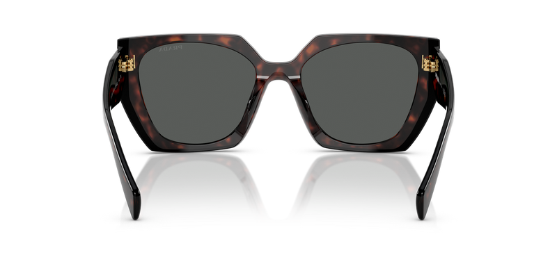 Prada PR 15WS in Root/Black / Dark Grey (24B40L) - Alternate View