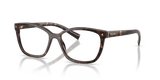 Root Tortoise / Demo Lens (17N1O1)