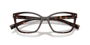 Root Tortoise / Demo Lens (17N1O1)