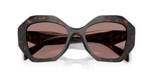 Root Tortoise / Light Brown (17N60B)