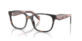 Mauve Tortoise / Demo Lens (23A1O1)