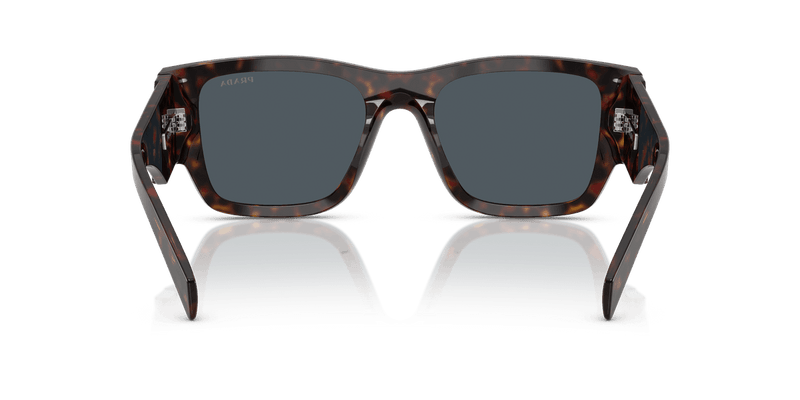 Prada PR 10ZS in Root Tortoise / Dark Grey (17N70B) - Alternate View
