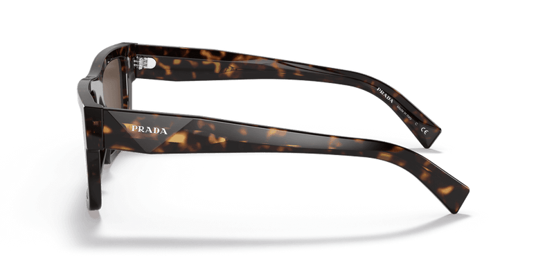 Prada PR 19WS in Tortoise / Dark Brown (2AU8C1) - Alternate View