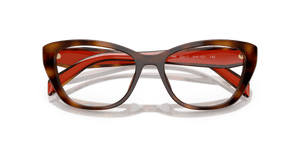 Juniper Havana (01K1O1)