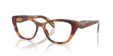 Poppy Tortoise (22A1O1)