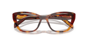 Poppy Tortoise (22A1O1)