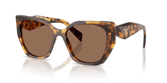 Prada PR 19ZS - Honey Tortoise / Dark Brown (14L06B)