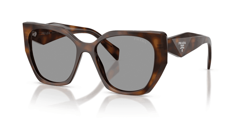 Prada PR 19ZS in Juniper Tortoise / Grey (20D50Q) - Alternate View