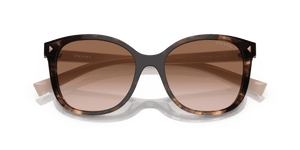 Caramel Tortoise / Brown Gradient (07R0A6)