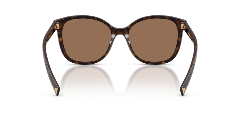 Prada PR 22ZS in Tartaruga Radica / Dark Brown (17N06B) - Alternate View