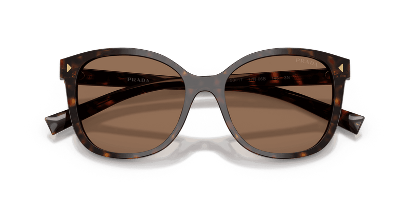 Prada PR 22ZS in Tartaruga Radica / Dark Brown (17N06B) - Side View