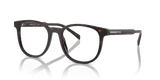 Radica Tortoise (17N1O1)