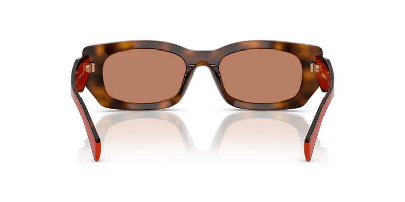 Prada PR B05S in Juniper Tortoise/Cotto / Brown (01K90Q) - Alternate View