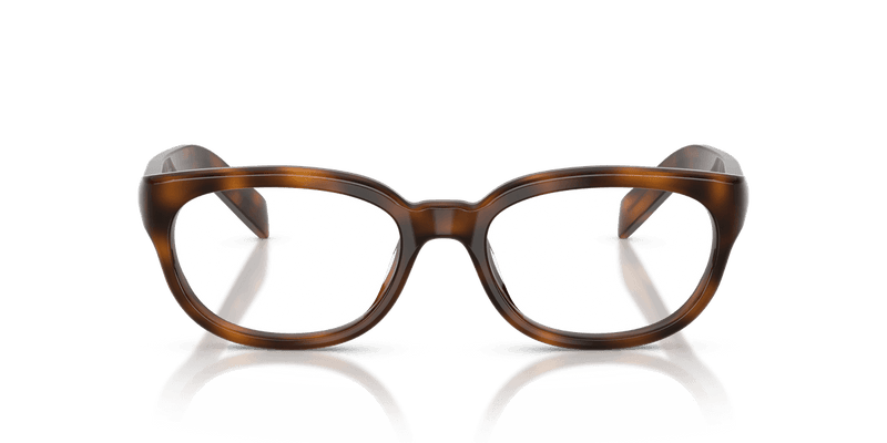 Prada PR D03VU in Juniper Havana (20D1O1) - Alternate View