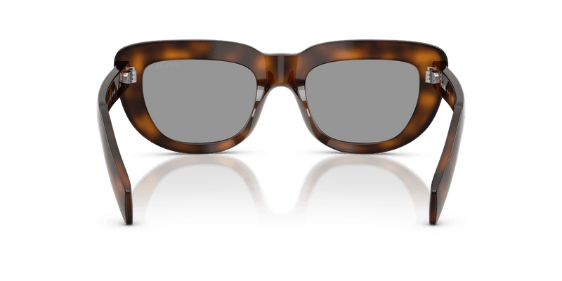 Prada PR D07S in Juniper Tortoise / Grey (20D50Q) - Alternate View
