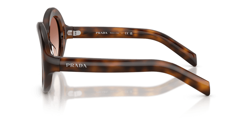 Prada PR D08SU in Juniper Tortoise / Light Brown Gradient Bordeaux (20D70X) - Temple Detail