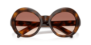 Juniper Tortoise / Light Brown Gradient Bordeaux (20D70X)