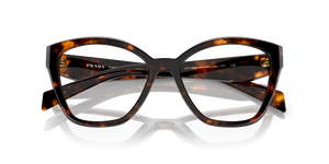 Honey Tortoise / Demo Lens (14L1O1)