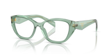 Transparent Sage / Demo Lens (11R1O1)
