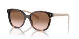 Caramel Tortoise / Brown Gradient (07R0A6)