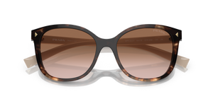 Caramel Tortoise / Brown Gradient (07R0A6)