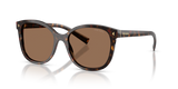 Root Tortoise / Dark Brown (17N06B)