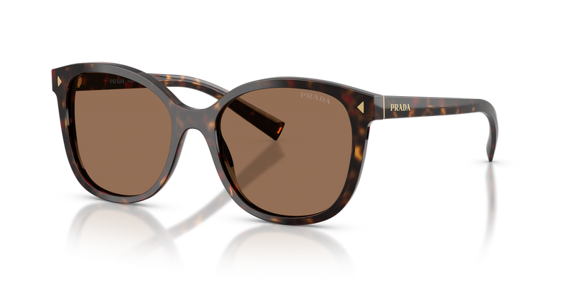 Prada PR 22ZSF in Root Tortoise / Dark Brown (17N06B) - Front View