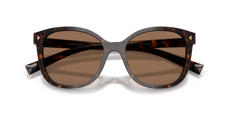 Prada PR 22ZSF in Root Tortoise / Dark Brown (17N06B) - Side View