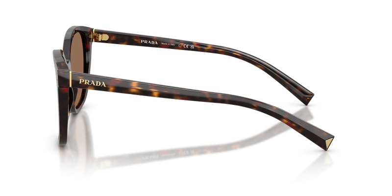 Prada PR 22ZSF in Root Tortoise / Dark Brown (17N06B) - Back View