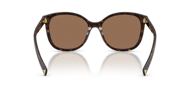 Prada PR 22ZSF in Root Tortoise / Dark Brown (17N06B) - Temple Detail