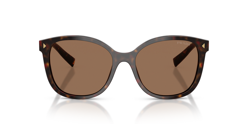 Prada PR 22ZSF in Root Tortoise / Dark Brown (17N06B) - Alternate View