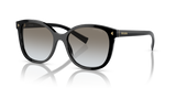 Black / Grey Gradient (1AB0A7)