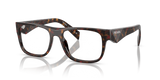 Root Tortoise / Demo Lens (17N1O1)